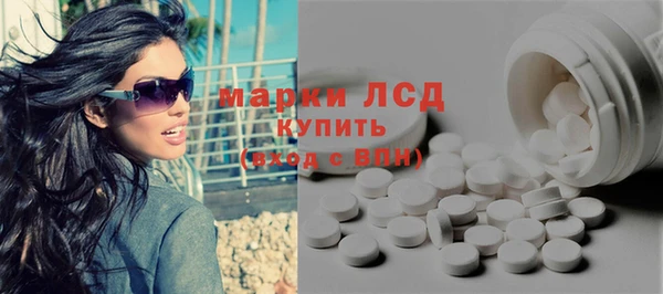 прущие грибы Верхний Тагил