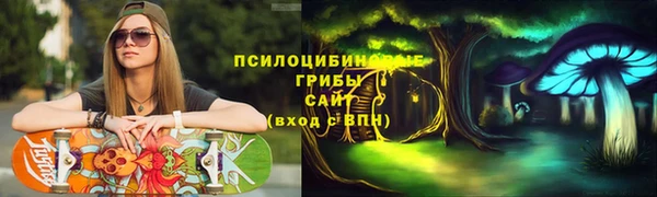 ГАЛЛЮЦИНОГЕННЫЕ ГРИБЫ Верея