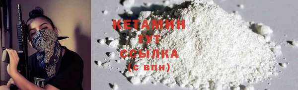 прущие грибы Верхний Тагил
