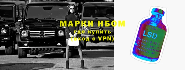 прущие грибы Верхний Тагил
