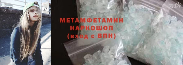 прущие грибы Верхний Тагил