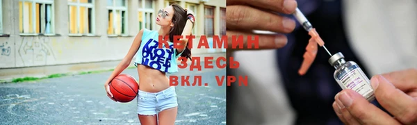 прущие грибы Верхний Тагил