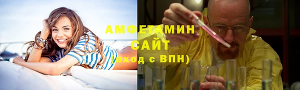 прущие грибы Верхний Тагил