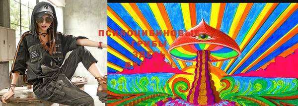 прущие грибы Верхний Тагил
