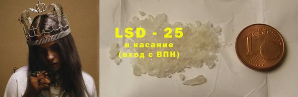 прущие грибы Верхний Тагил