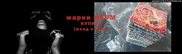 ГАЛЛЮЦИНОГЕННЫЕ ГРИБЫ Верея