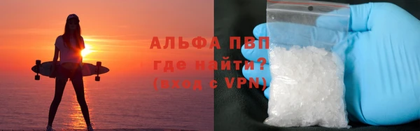 ГАЛЛЮЦИНОГЕННЫЕ ГРИБЫ Верея
