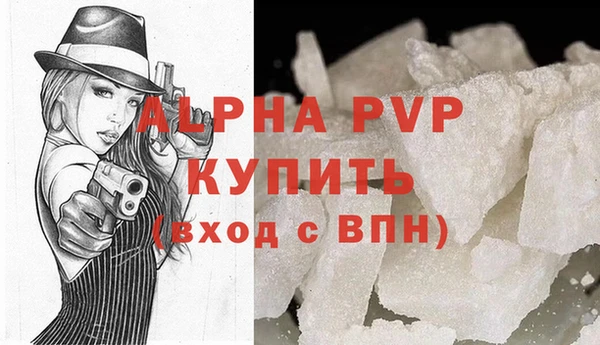 прущие грибы Верхний Тагил