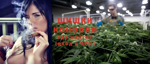 прущие грибы Верхний Тагил