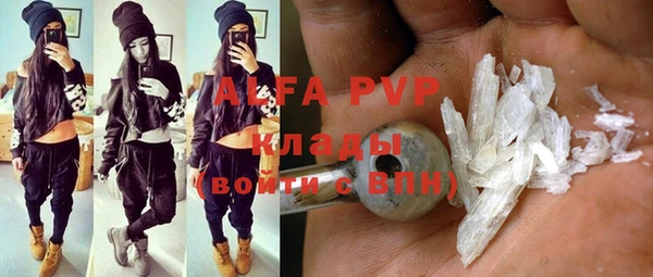 ГАЛЛЮЦИНОГЕННЫЕ ГРИБЫ Верея